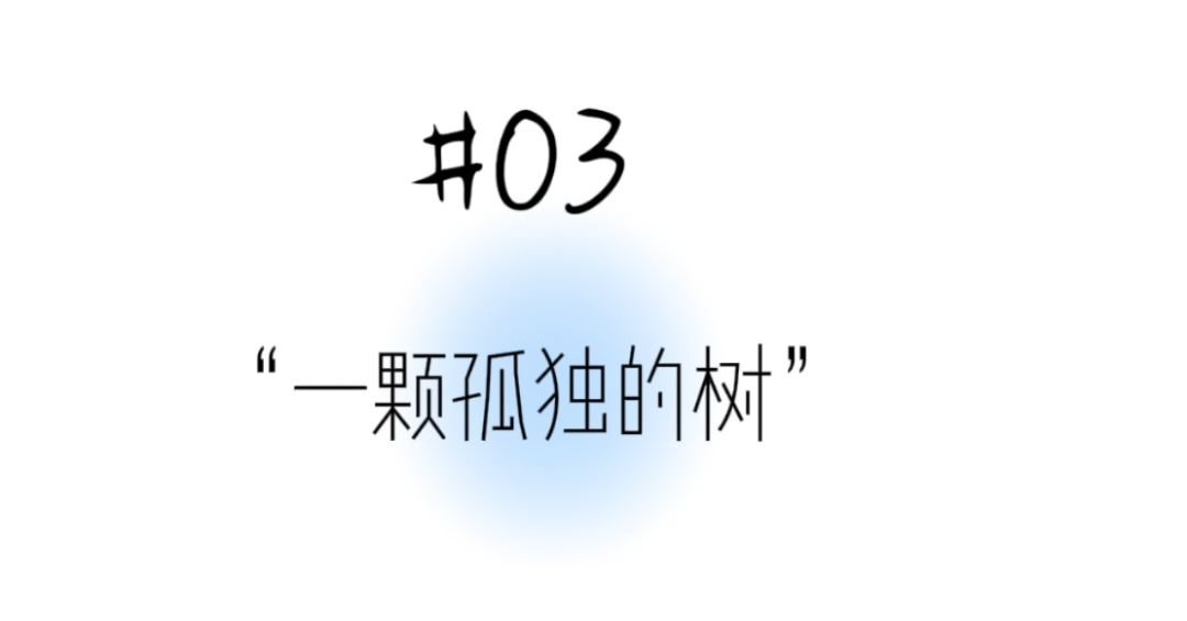 收藏漳州港这些「宝藏机位」，哐哐出大片！