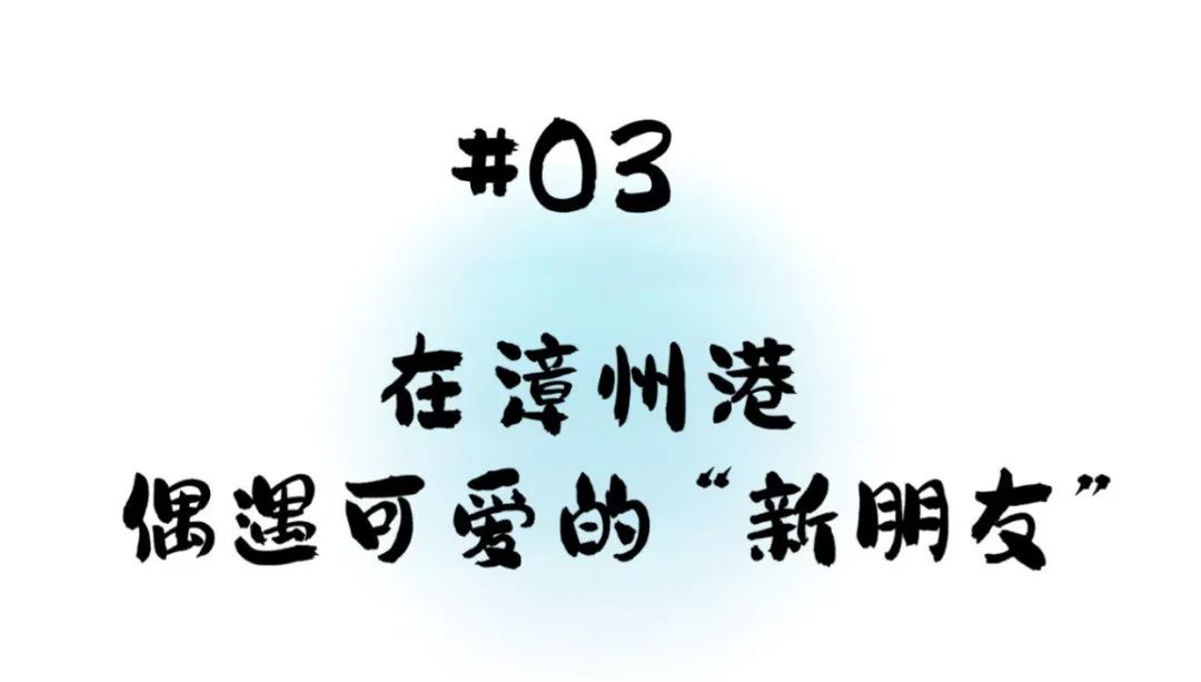 比起厦门，我更爱这座冷门的滨海小城