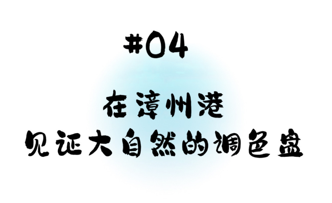 比起厦门，我更爱这座冷门的滨海小城