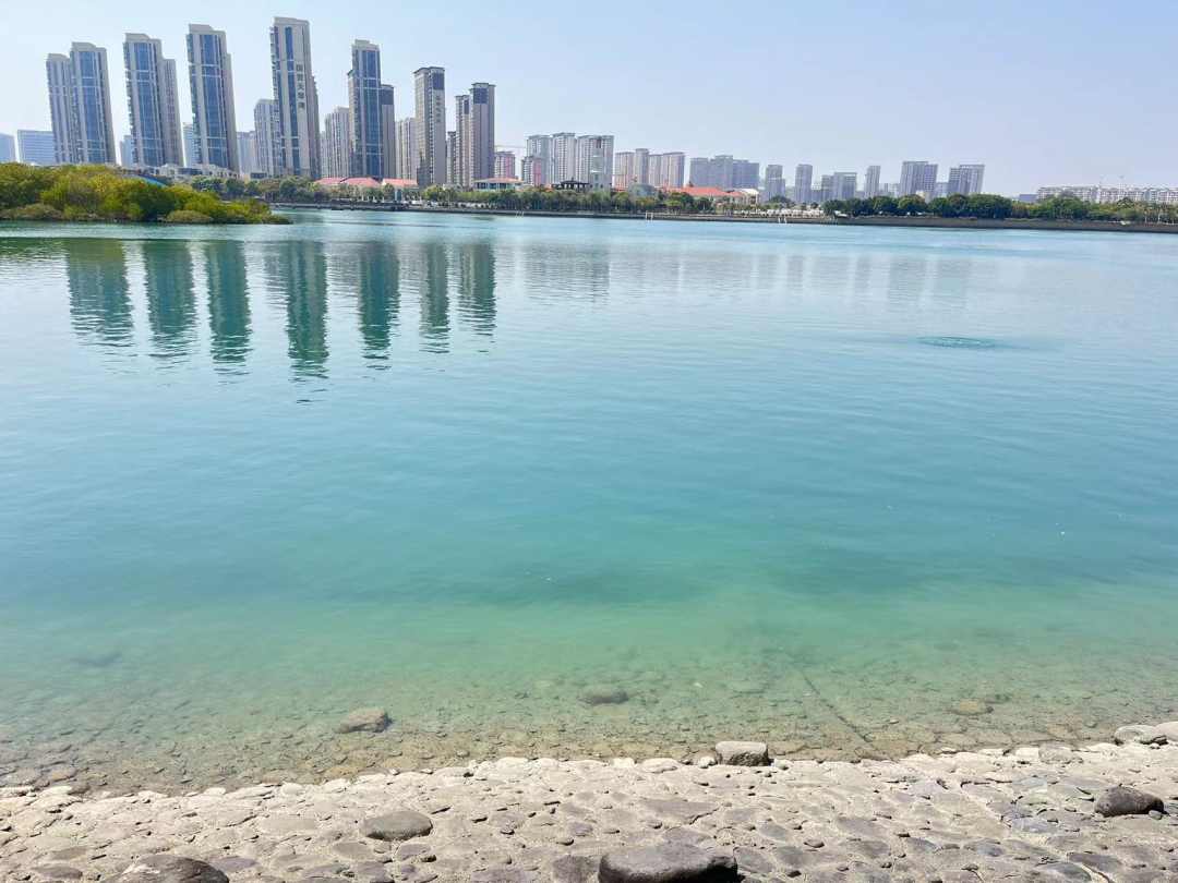 厦门又一波秋日花海来袭！还有绝美海上木栈道，挖沙赶海都能玩！漳州港小伙伴乘K1+2号线可达！