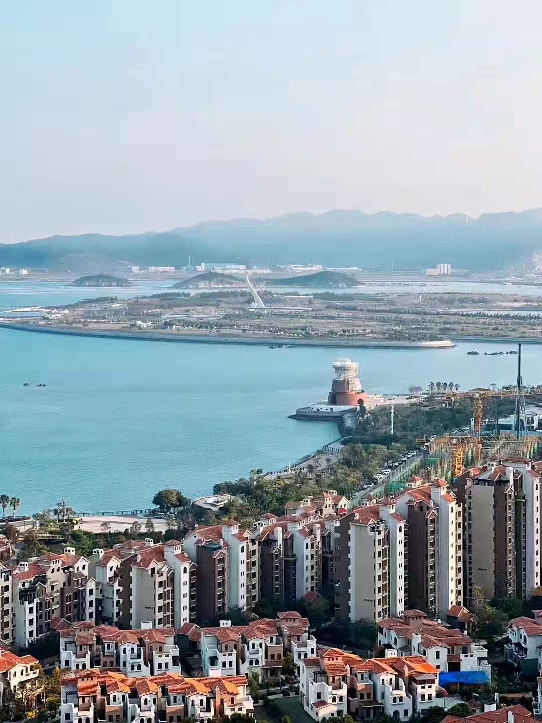 前方高萌！在漳州港邂逅神奇的“它们”